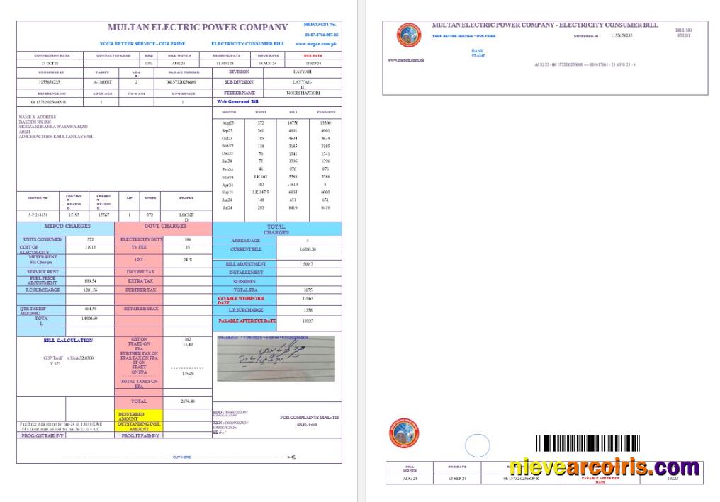 PAKISTAN MULTAN ELECTRIC POWER business utility bill, version 2